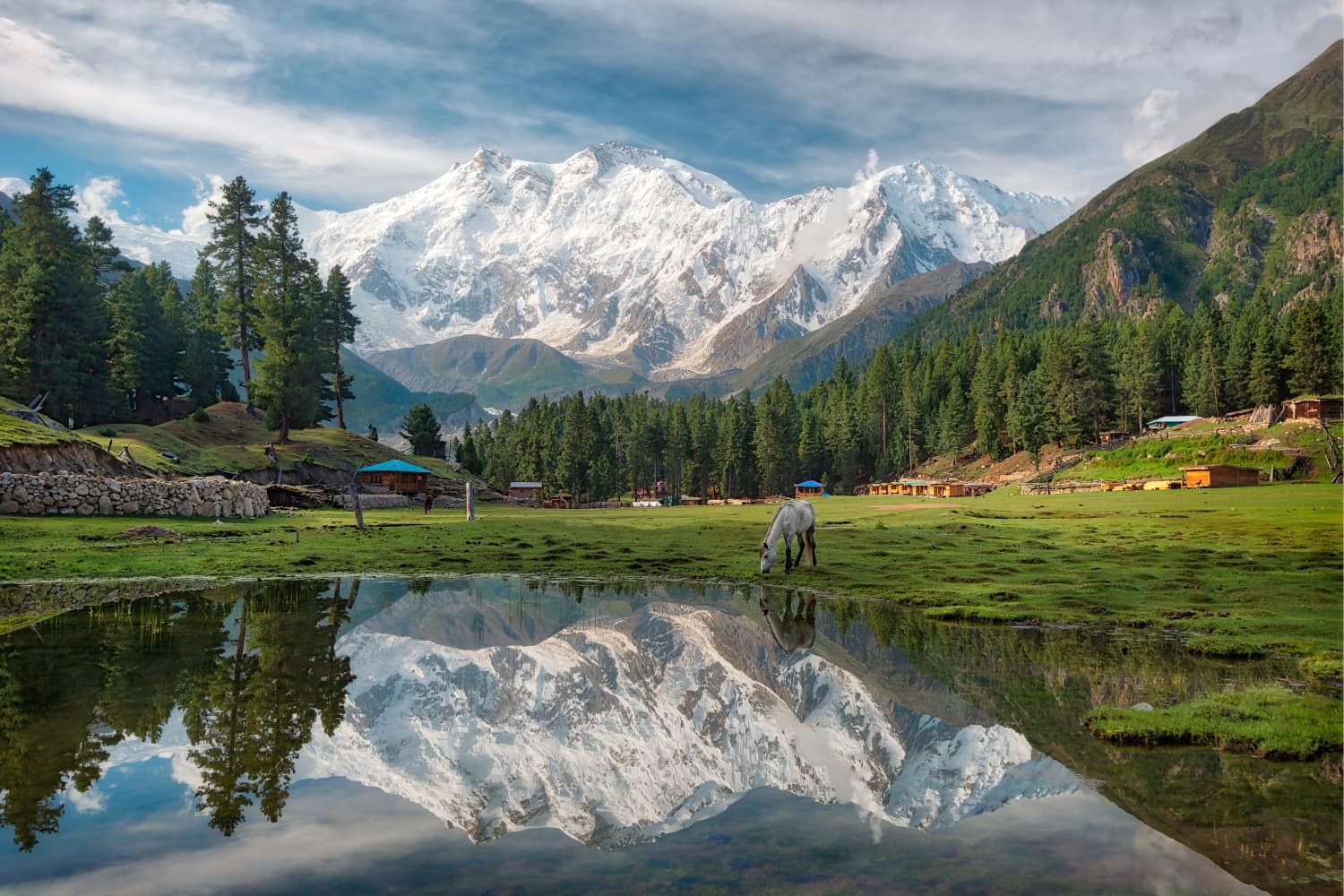 Fairy Meadows & Nanga Parbat Base Camp Group Tour